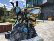 28th Jul 2018 - Bee in the City, Manchester. 