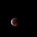 Blood moon by geertje