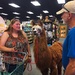 You don’t see a llama in a store every day  by clay88