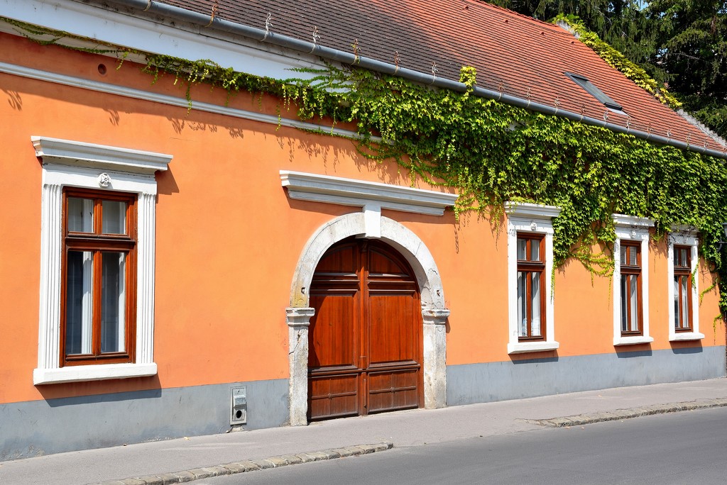 A house in Szentendre by kork