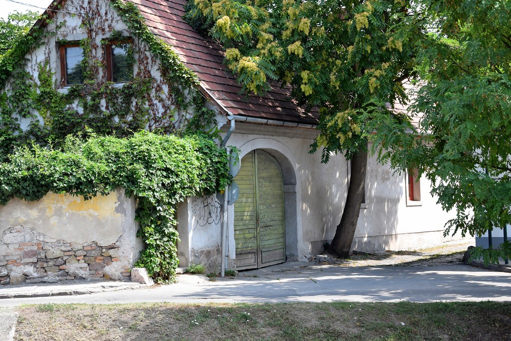 A house in Szentendre by kork