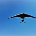 He Flys Like a Bird... by carole_sandford