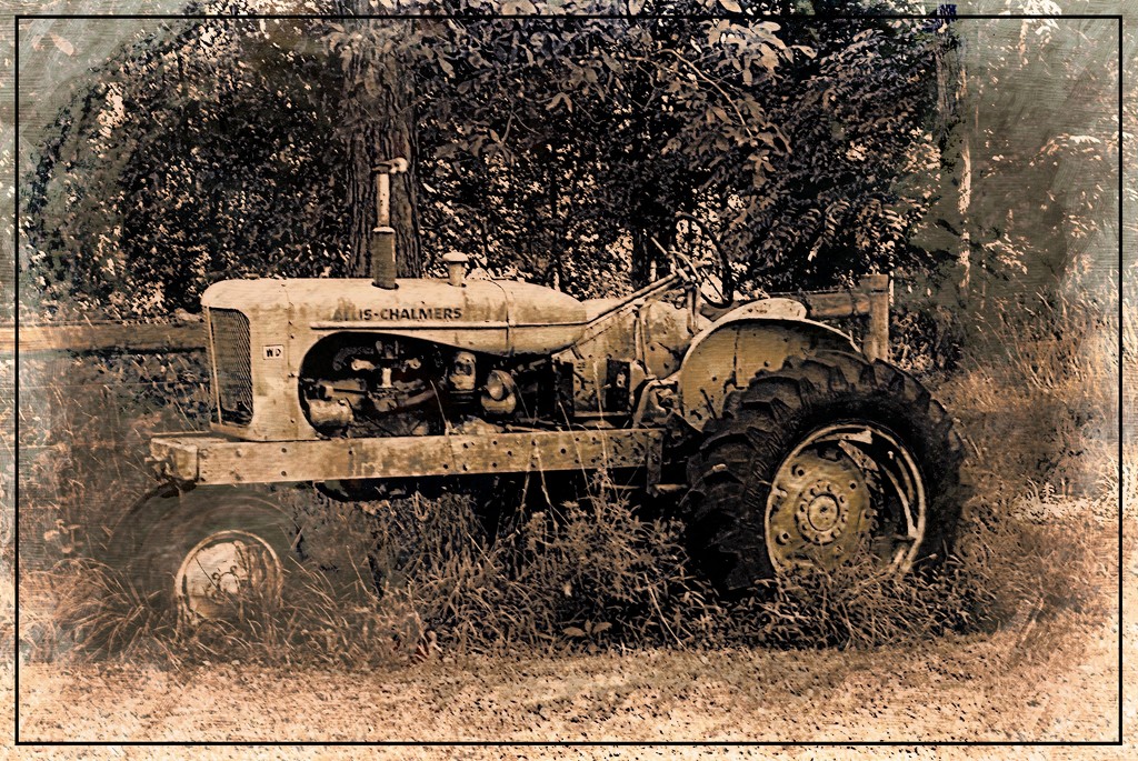 Allis Chalmers Tractor by olivetreeann