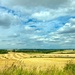 Countryside drive.  by 365projectdrewpdavies