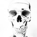 8 cranial bones, 14 facial bones by scottmurr