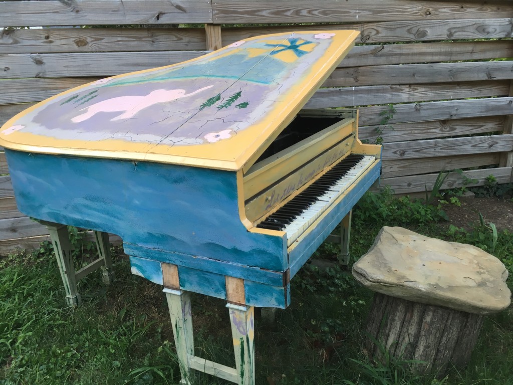 everyone needs a piano in the backyard  by wiesnerbeth