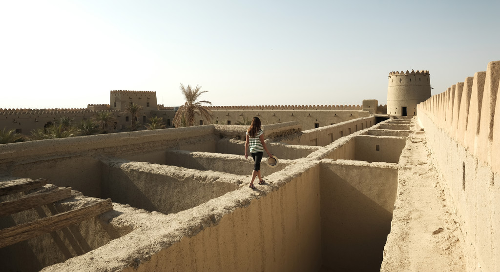 Mezyad Fort (19th century), Al Ain by stefanotrezzi