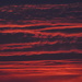 Red Sky at Night by redandwhite