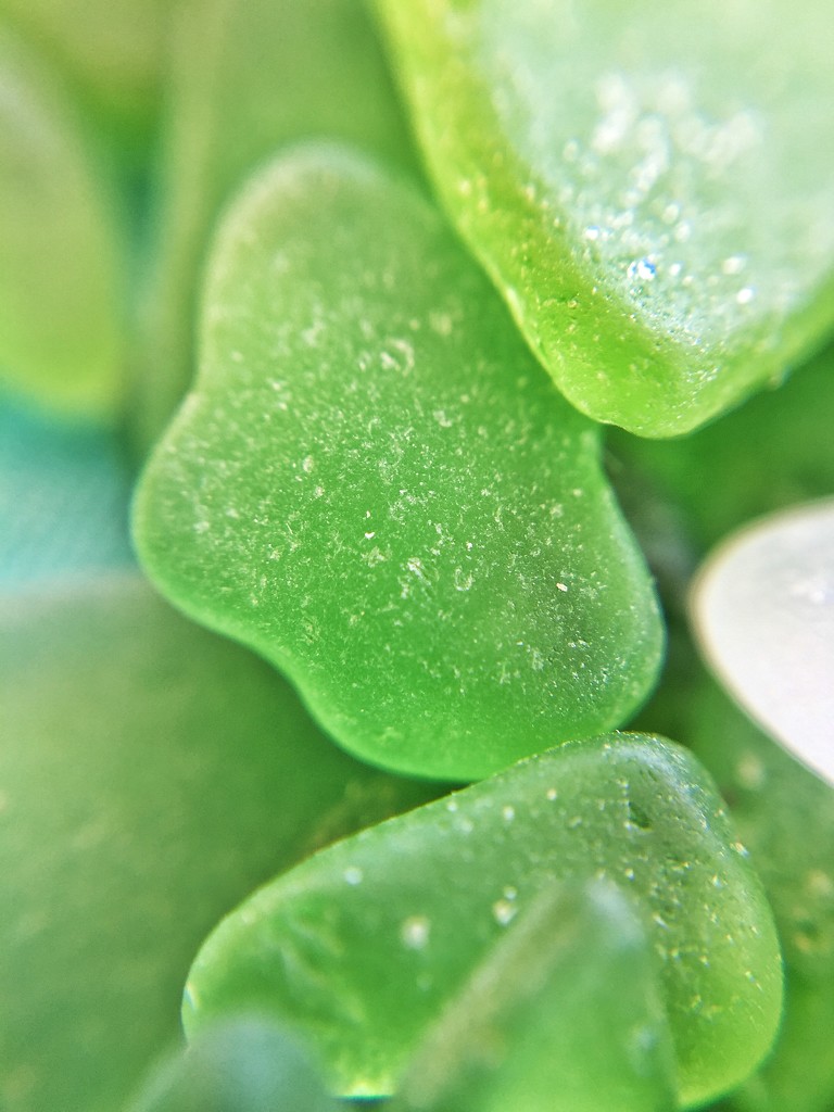 Green seaglass.  by cocobella