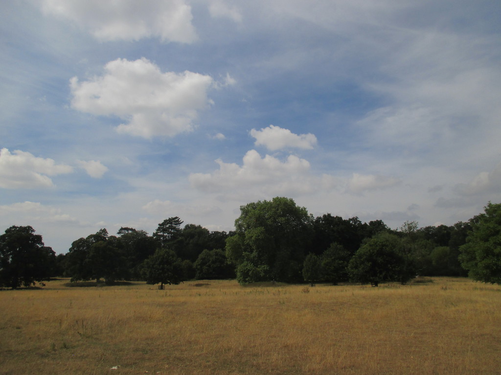 Ickworth Sky by g3xbm