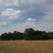 Ickworth Sky by g3xbm