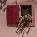 192 - Geraniums at the window (1) by bob65