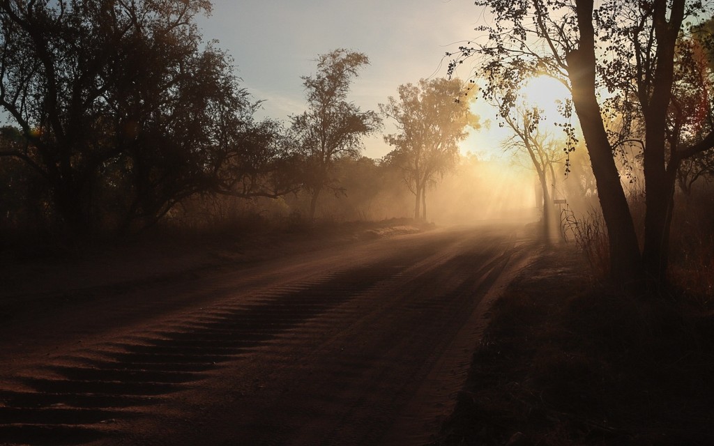 Corrugations and dust, welcome to the Gibb River Road. El Questro Staion by jodies