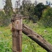 Fence Post by salza