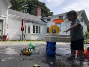 2nd Aug 2018 - Home is where the water table is