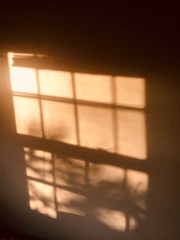 Morning shadows by beckyk365