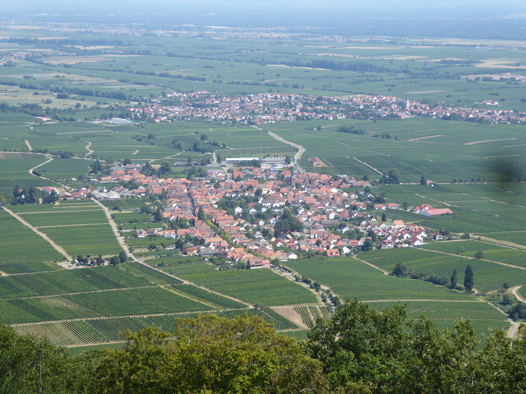 View from the Rietburg Ruins in Rheinland Pfalz by cmp