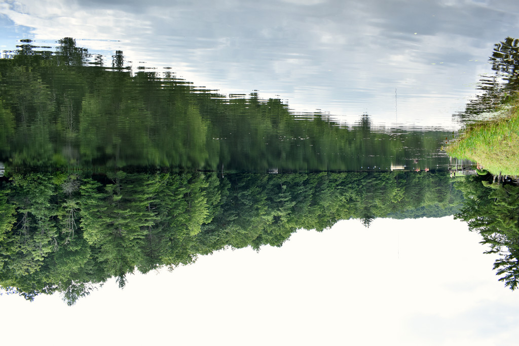 I Flipped the Lake by alophoto