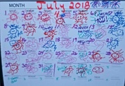 3rd Aug 2018 - July 2018 Whiteboard.