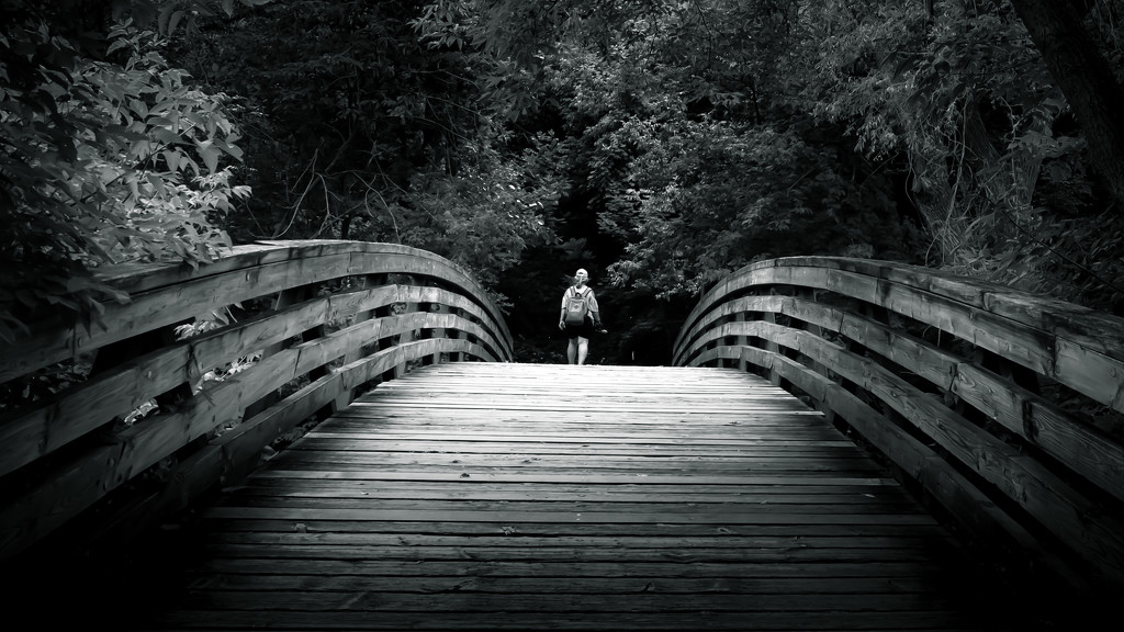 Vikki on the bridge! by northy