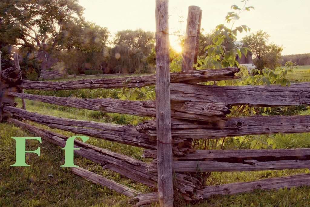 August Alphabet Words - F is for Fence by farmreporter