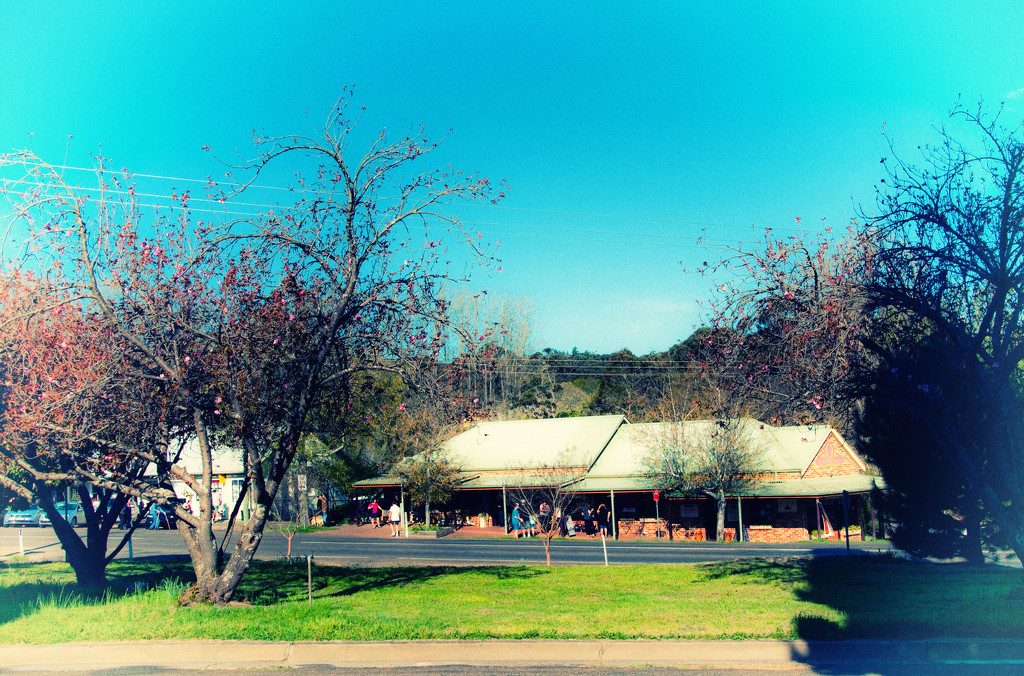 Berrima street view by annied