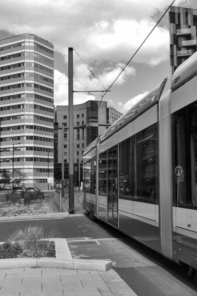 Tram lines by rumpelstiltskin
