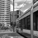 Tram lines by rumpelstiltskin