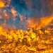 The sky’s on fire by 365projectdrewpdavies