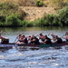 Dragonboat Racing by phil_howcroft