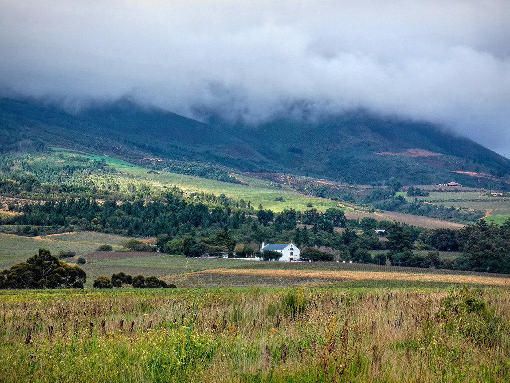 Local farms by ludwigsdiana