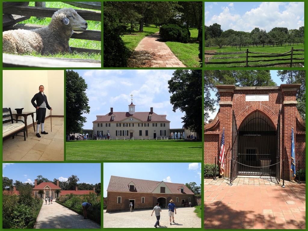 Mt. Vernon by homeschoolmom