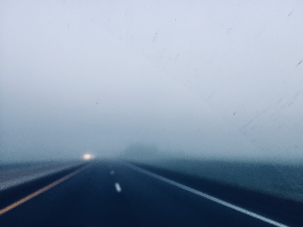 Foggy morning  by samae