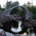 Carrbridge by lifeat60degrees