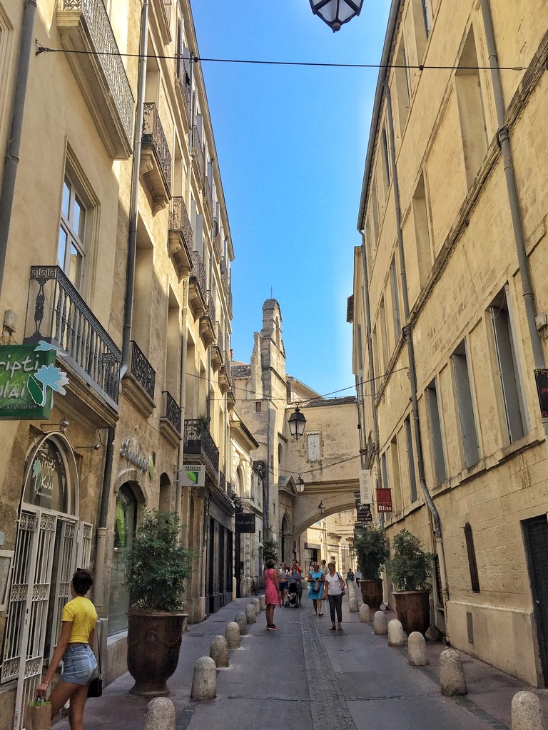 Street of Montpellier.  by cocobella