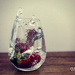 berry splash by ulla