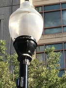 9th Aug 2018 - Lamppost 