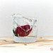strawberry splash by ulla
