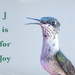 J is for Joy by jnorthington