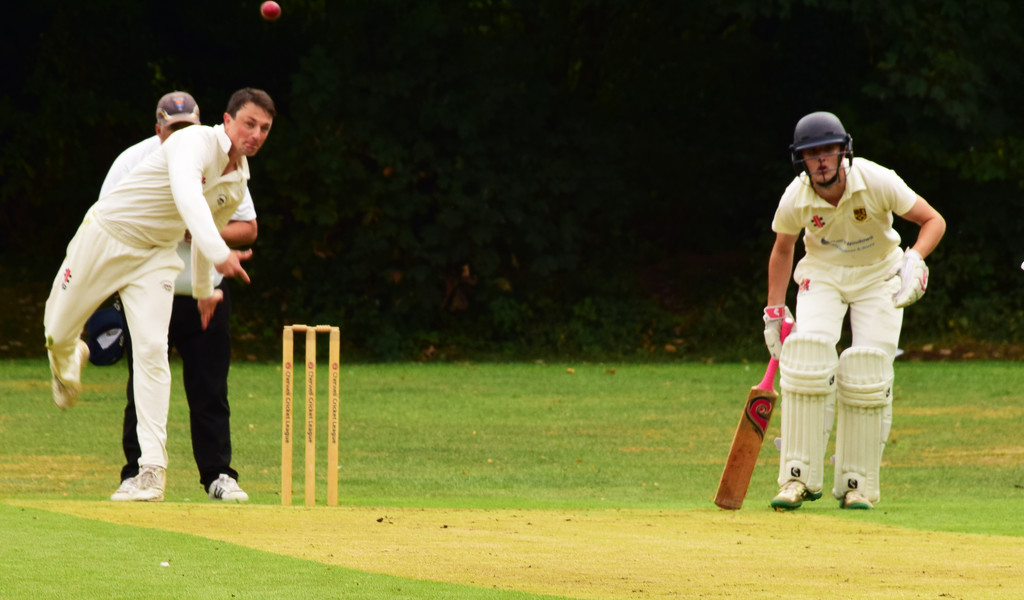 cricket at the village - 1 by ianmetcalfe