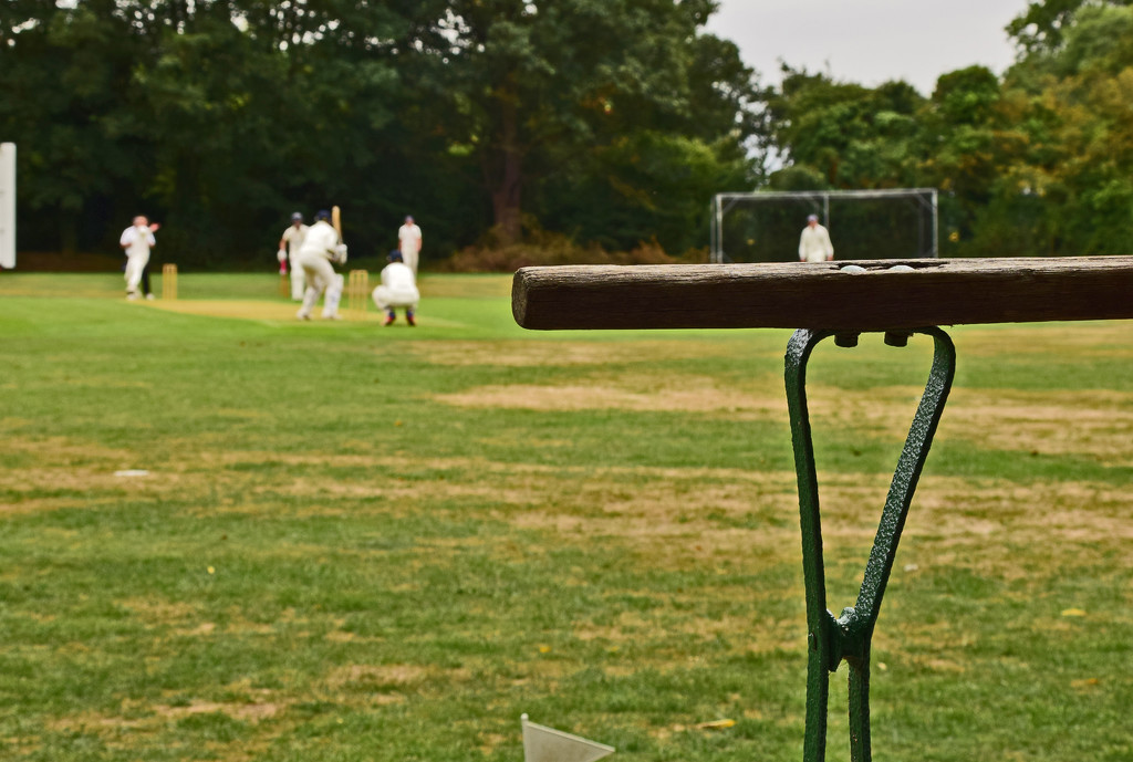 cricket at the village - 2 by ianmetcalfe