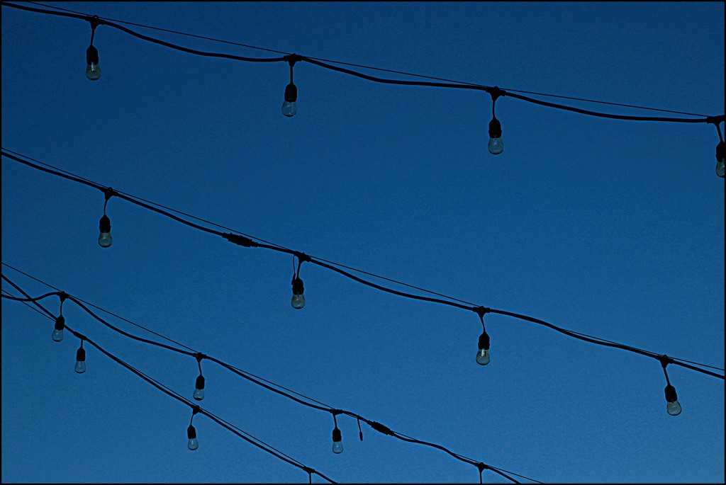 Lights Across the Sky by olivetreeann