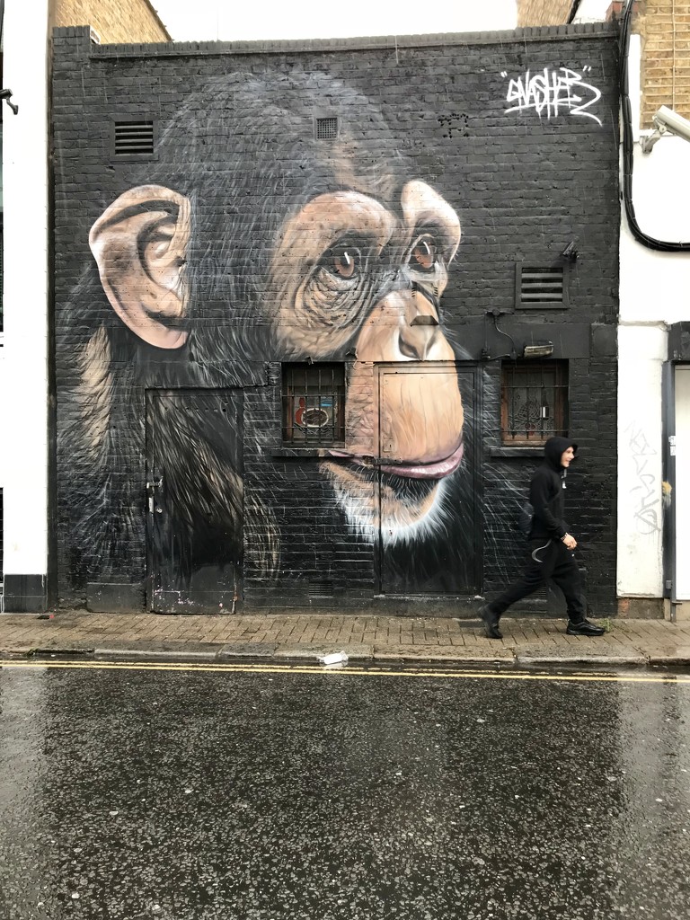 Monkeying around Camden by emma1231