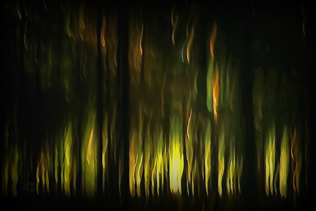 2018-08-11 icm forest by mona65