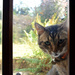 let me in!  by parisouailleurs