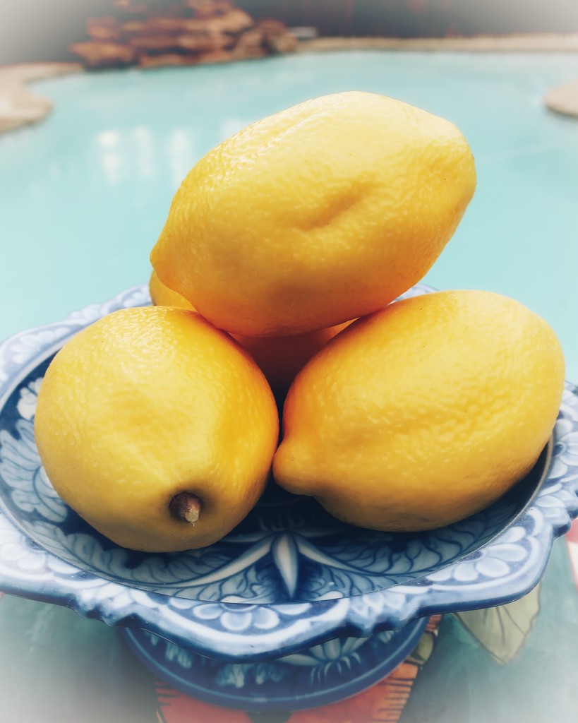 Lemons, it’s a long story by louannwarren
