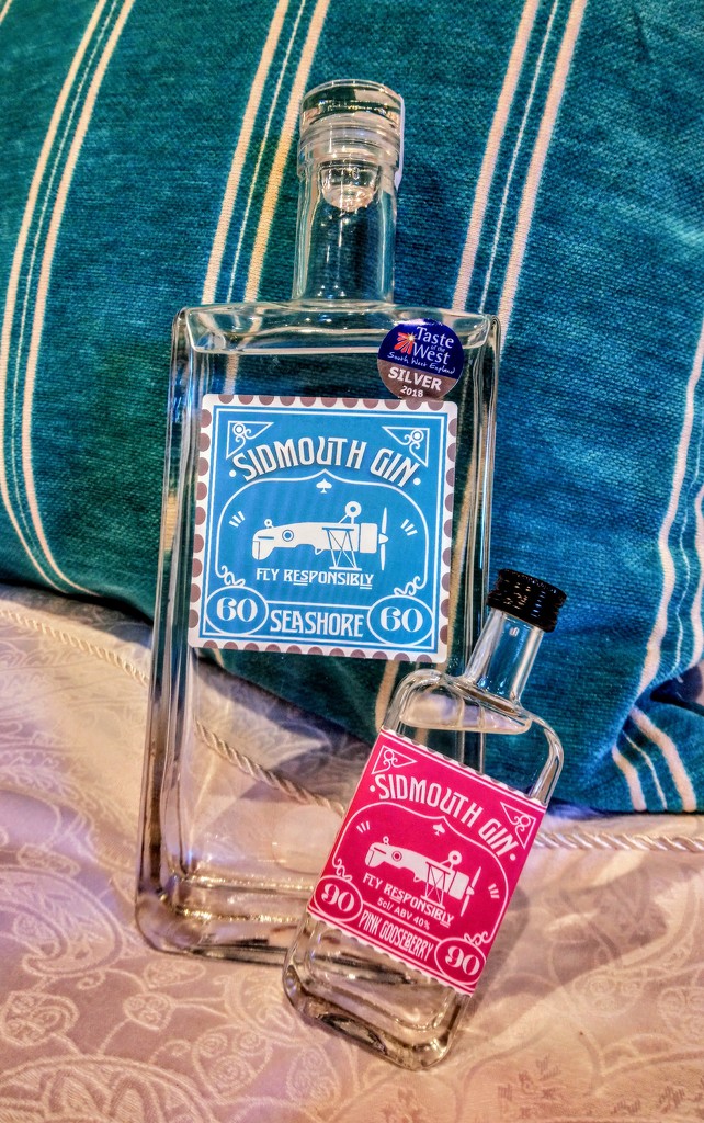 Sidmouth Gin by boxplayer