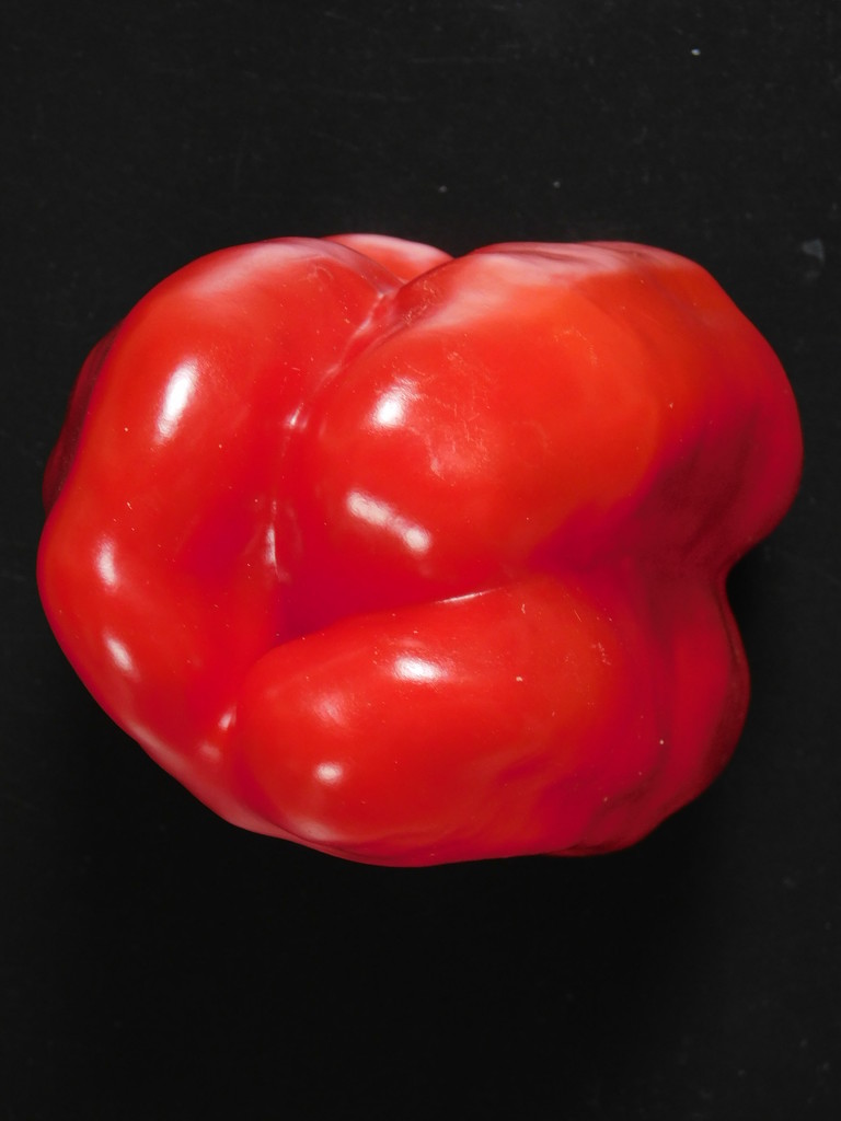 Random upside down red pepper by 365anne