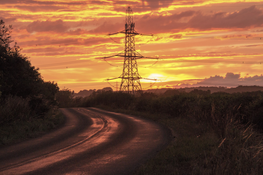 Sunset on the Lane by shepherdman