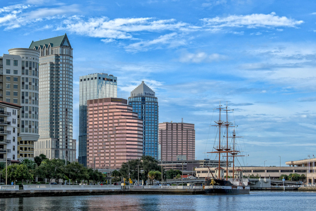 Tampa by danette